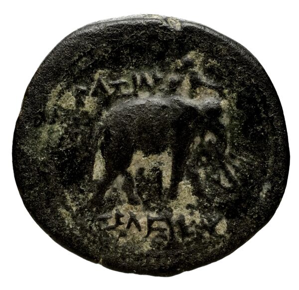 Seleucid Coins (part 1) 818, реверс, bnf-hrc