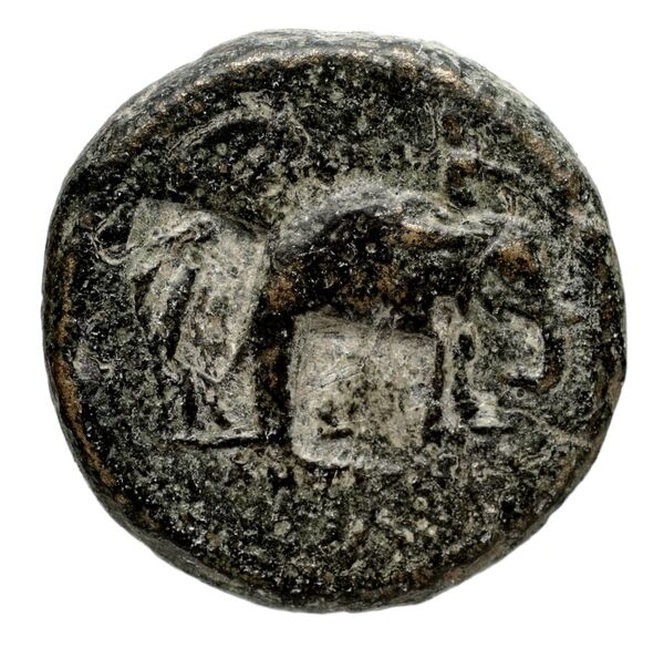 реверс Seleucid Coins (part 1) 1084c