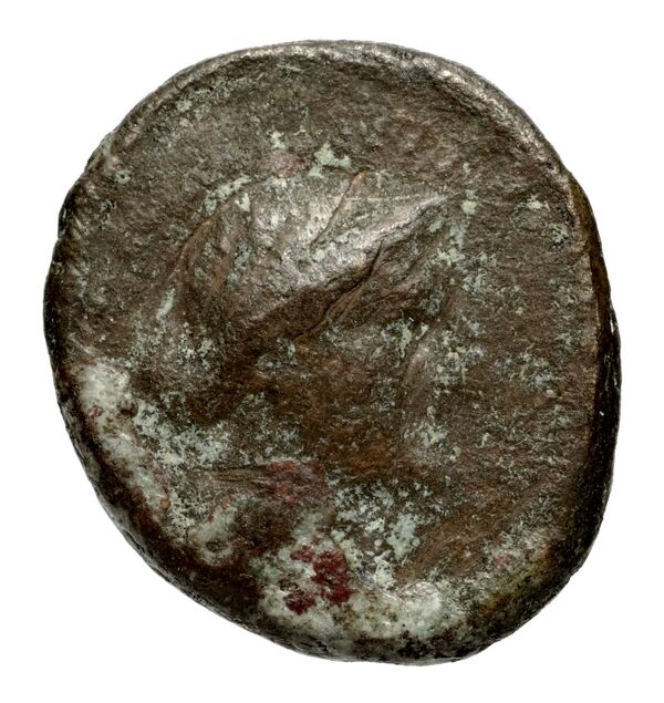 аверс Seleucid Coins (part 1) 1087