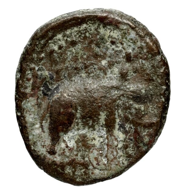 реверс Seleucid Coins (part 1) 1087