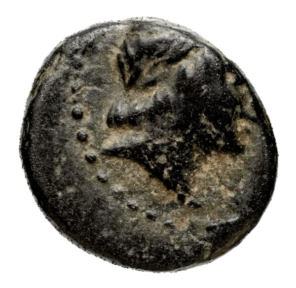 Seleucid Coins (part 1) 1055, аверс, bnf-hrc