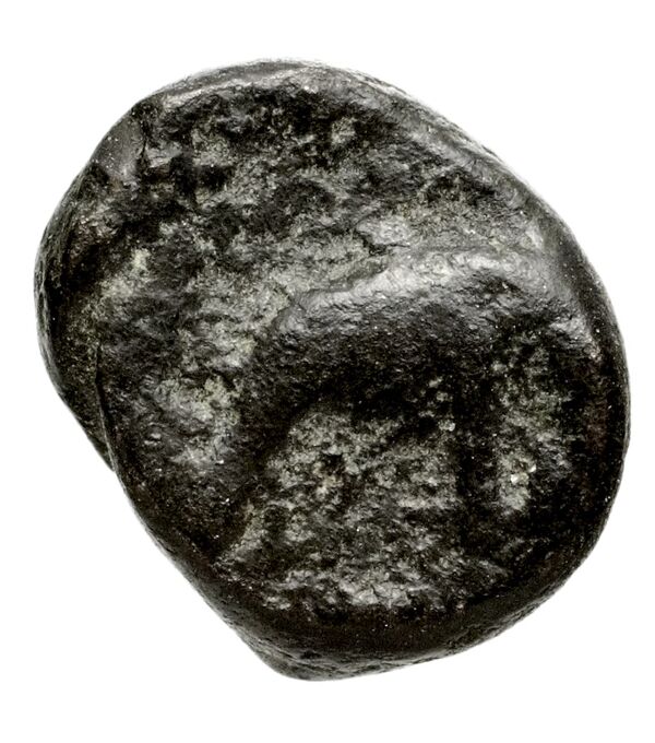 реверс Seleucid Coins (part 1) 1088