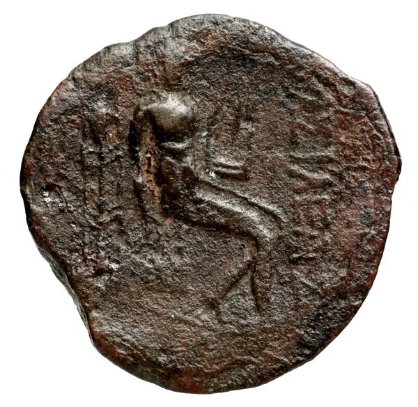 Seleucid Coins (part 1) 1186, реверс, bnf-hrc