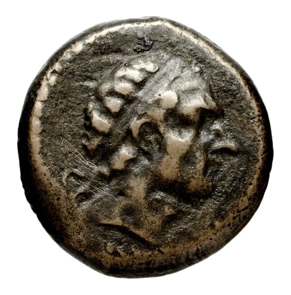 аверс Seleucid Coins (part 1) 1080.2
