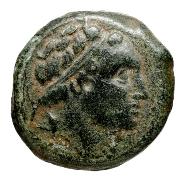 аверс Seleucid Coins (part 1) 1080.3