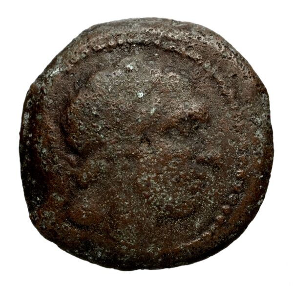 Seleucid Coins (part 1) 1078, аверс, bnf-hrc