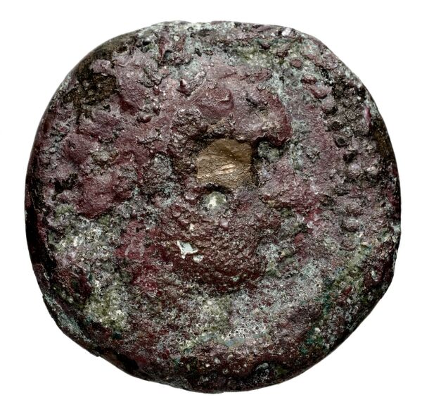Seleucid Coins (part 1) 1078.3, аверс, bnf-hrc