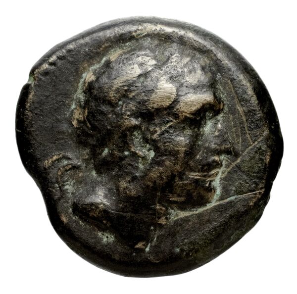 Seleucid Coins (part 1) 1080, аверс, bnf-hrc