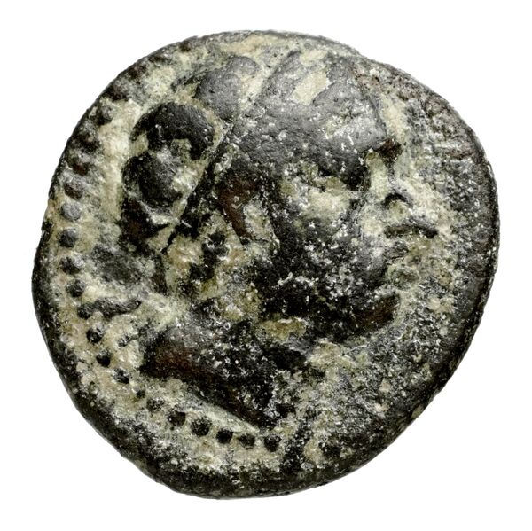 аверс Seleucid Coins (part 1) 1083