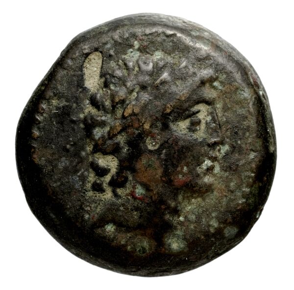 Seleucid Coins (part 1) 1097, аверс, bnf-hrc