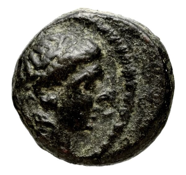Seleucid Coins (part 1) 1050.1, аверс, bnf-hrc