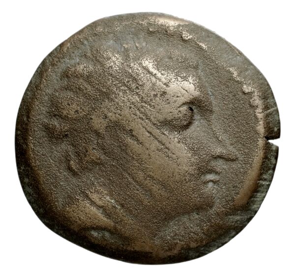 Seleucid Coins (part 1) 1248, аверс, bnf-hrc
