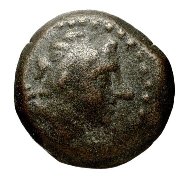 Seleucid Coins (part 1) 1253, аверс, bnf-hrc