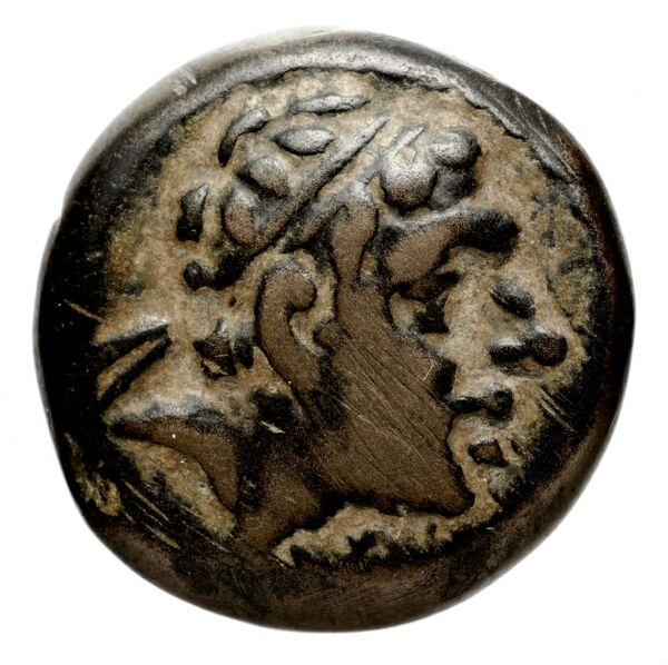 аверс Seleucid Coins (part 1) 1265