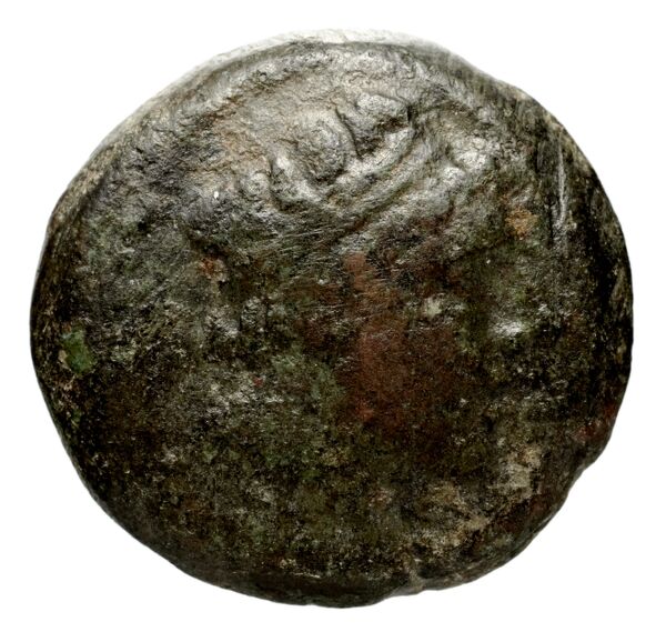 Seleucid Coins (part 1) 1269, аверс, bnf-hrc