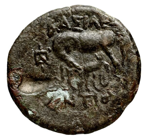 Seleucid Coins (part 1) 1269, реверс, bnf-hrc