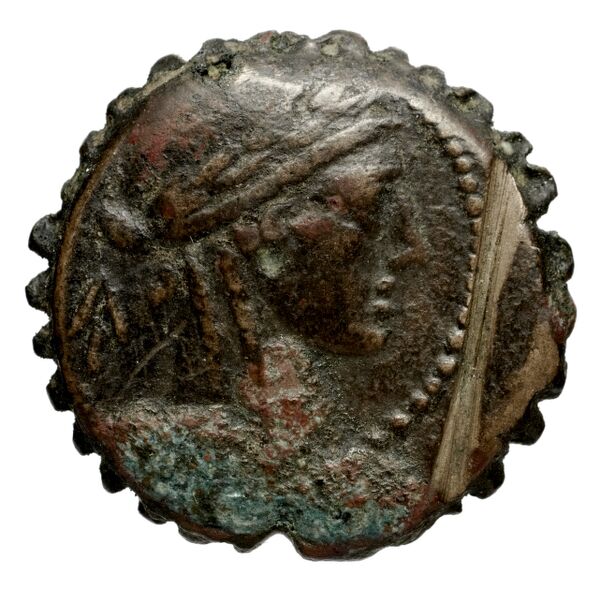 Seleucid Coins (part 2) 1315.6n, аверс, bnf-hrc