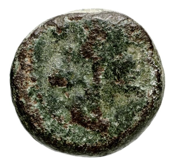 аверс Seleucid Coins (part 2) 1371a