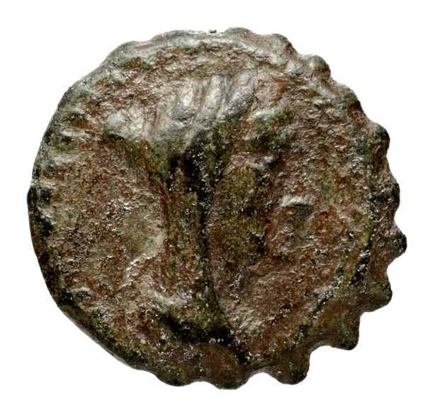 Seleucid Coins (part 2) 1407a, аверс, bnf-hrc
