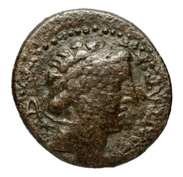 аверс Seleucid Coins (part 2) 1578