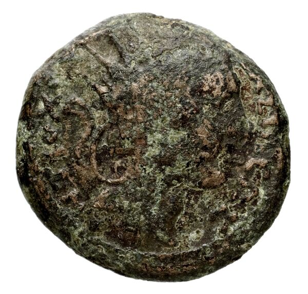 аверс Seleucid Coins (part 2) 1443