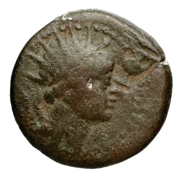 Seleucid Coins (part 2) 1445, аверс, bnf-hrc