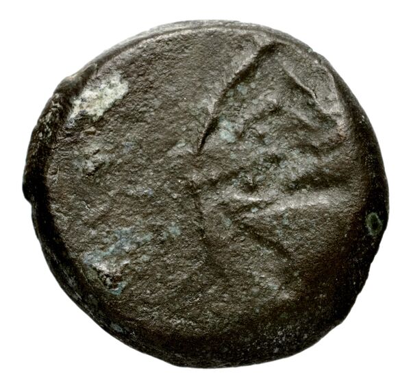 аверс Seleucid Coins (part 2) 1489.2c