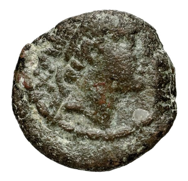 Seleucid Coins (part 2) 1489.2, аверс, bnf-hrc