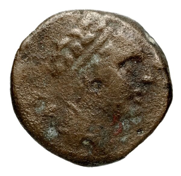 аверс Seleucid Coins (part 2) 1470