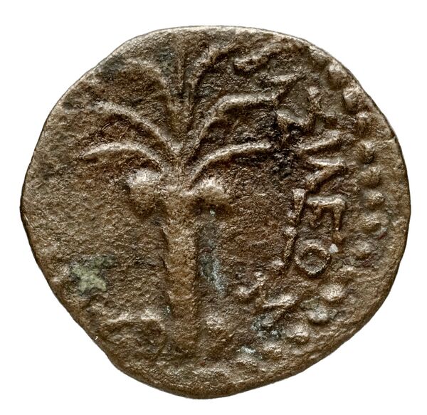 реверс Seleucid Coins (part 2) 1470