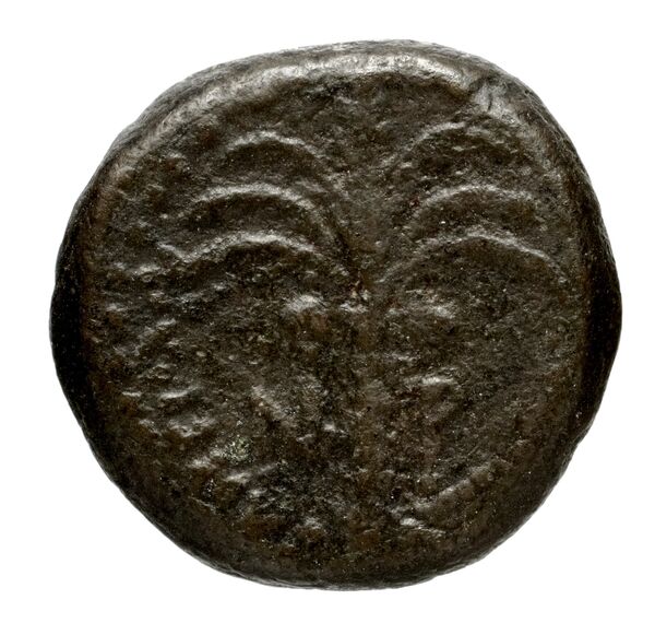 реверс Seleucid Coins (part 2) 1580