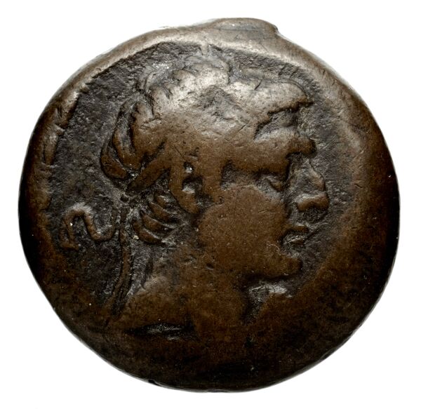 Seleucid Coins (part 2) 1742, аверс, bnf-hrc