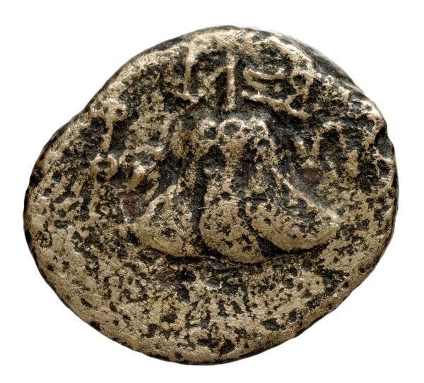 reverse Seleucid Coins (part 2) 1828
