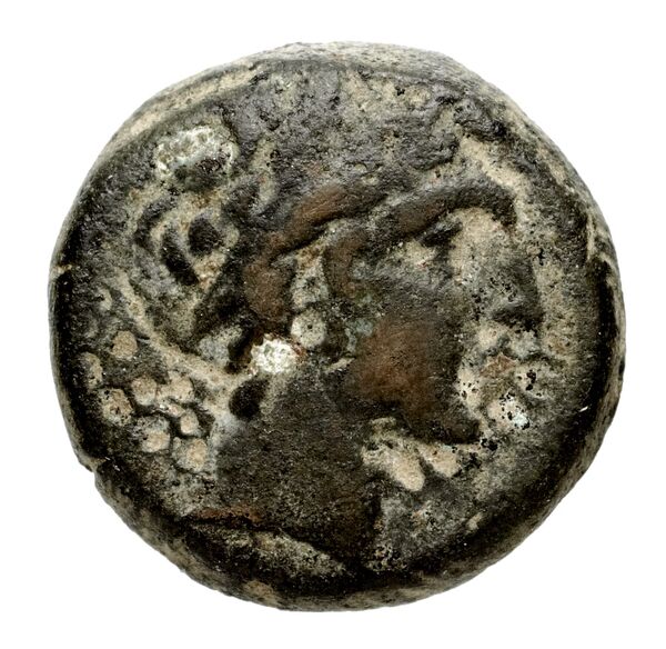Seleucid Coins (part 2) 1838.2, аверс, bnf-hrc