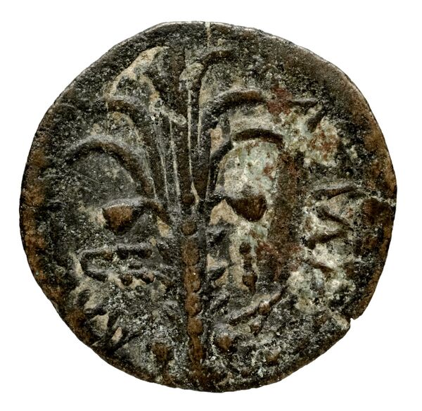 Seleucid Coins (part 2) 1838.2, реверс, bnf-hrc