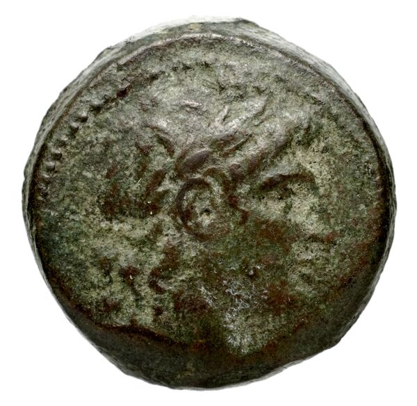 Seleucid Coins (part 2) 1802, аверс, bnf-hrc