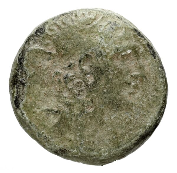 аверс Seleucid Coins (part 2) 1887b