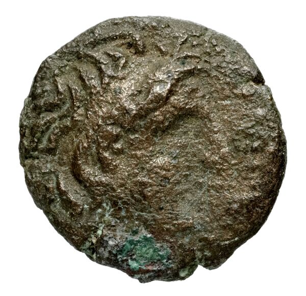 Seleucid Coins (part 2) 2044, аверс, bnf-hrc