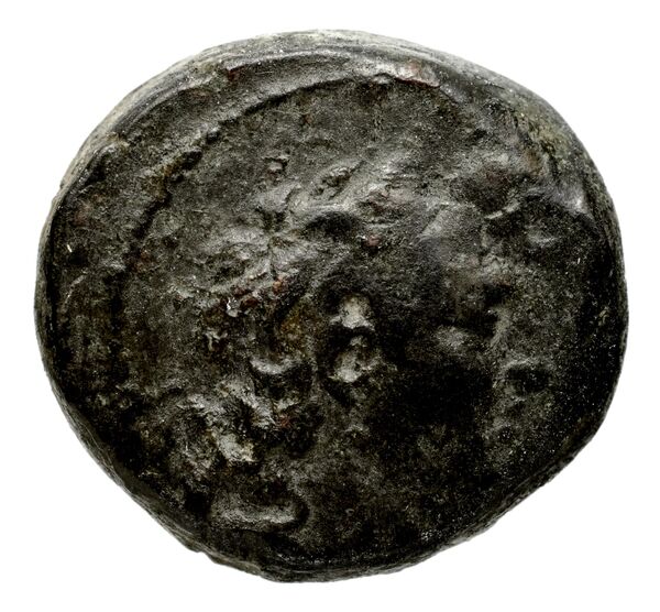 Seleucid Coins (part 2) 2034.2d, аверс, bnf-hrc