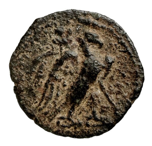 аверс Seleucid Coins (part 2) 2171