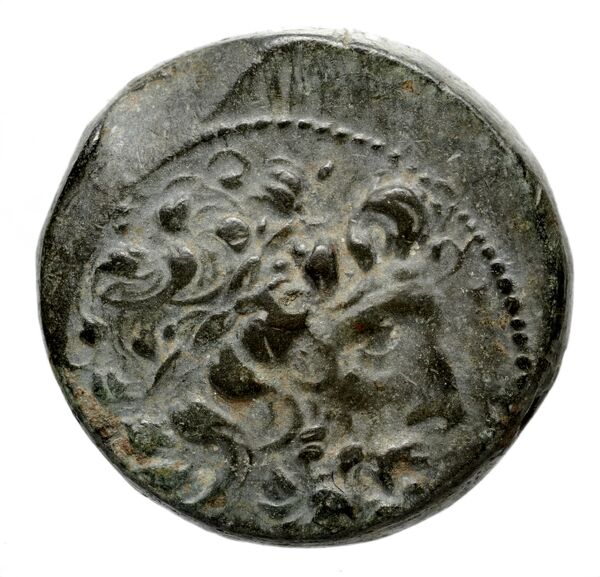 аверс Seleucid Coins (part 2) 1919.7b