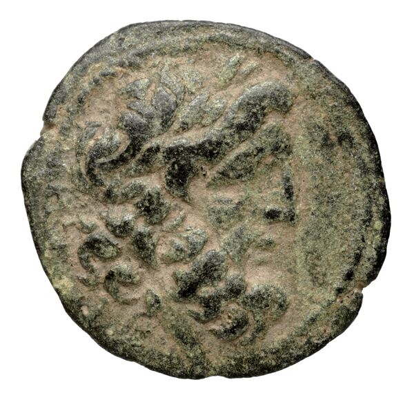 аверс Seleucid Coins (part 2) 2170.1g