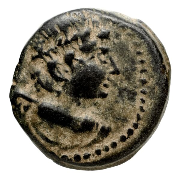 Seleucid Coins (part 2) 2067, аверс, bnf-hrc