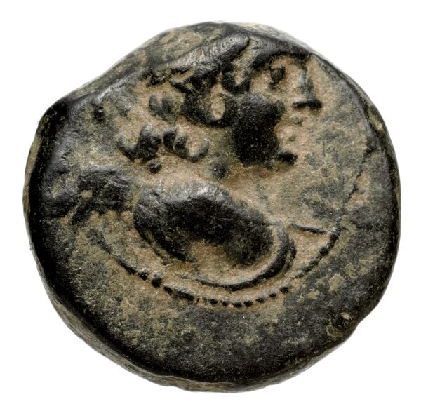 аверс Seleucid Coins (part 2) 2067.5b