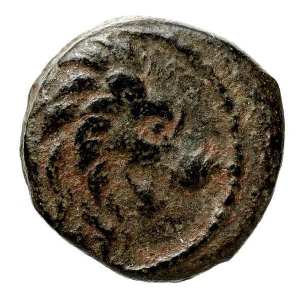 аверс Seleucid Coins (part 2) 2068.4