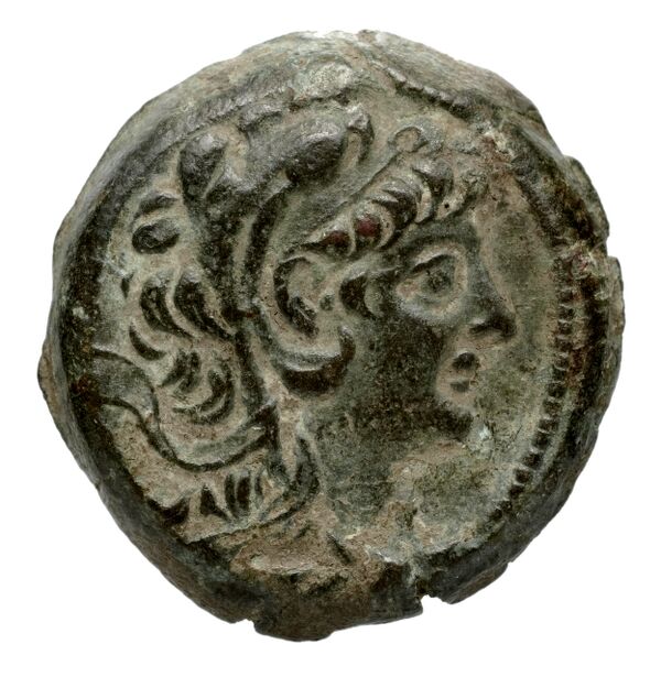 аверс Seleucid Coins (part 2) 2231.1g