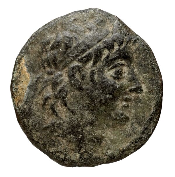 Seleucid Coins (part 2) 2229.7, аверс, bnf-hrc
