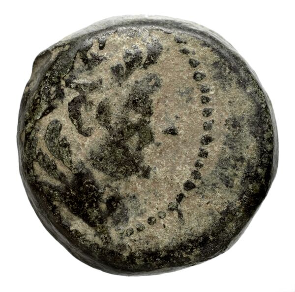 Seleucid Coins (part 2) 2229.1e, аверс, bnf-hrc