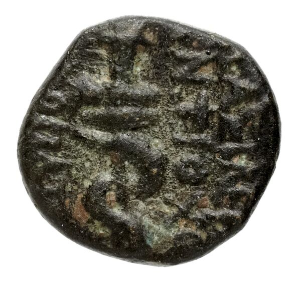 реверс Seleucid Coins (part 2) 2402