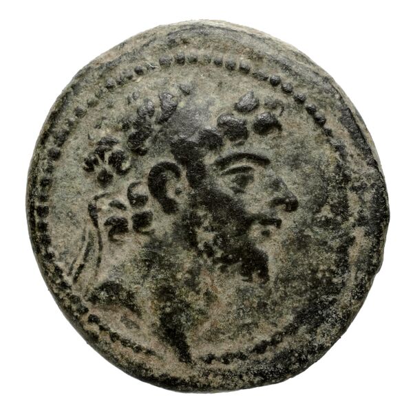 Seleucid Coins (part 2) 2424, аверс, bnf-hrc